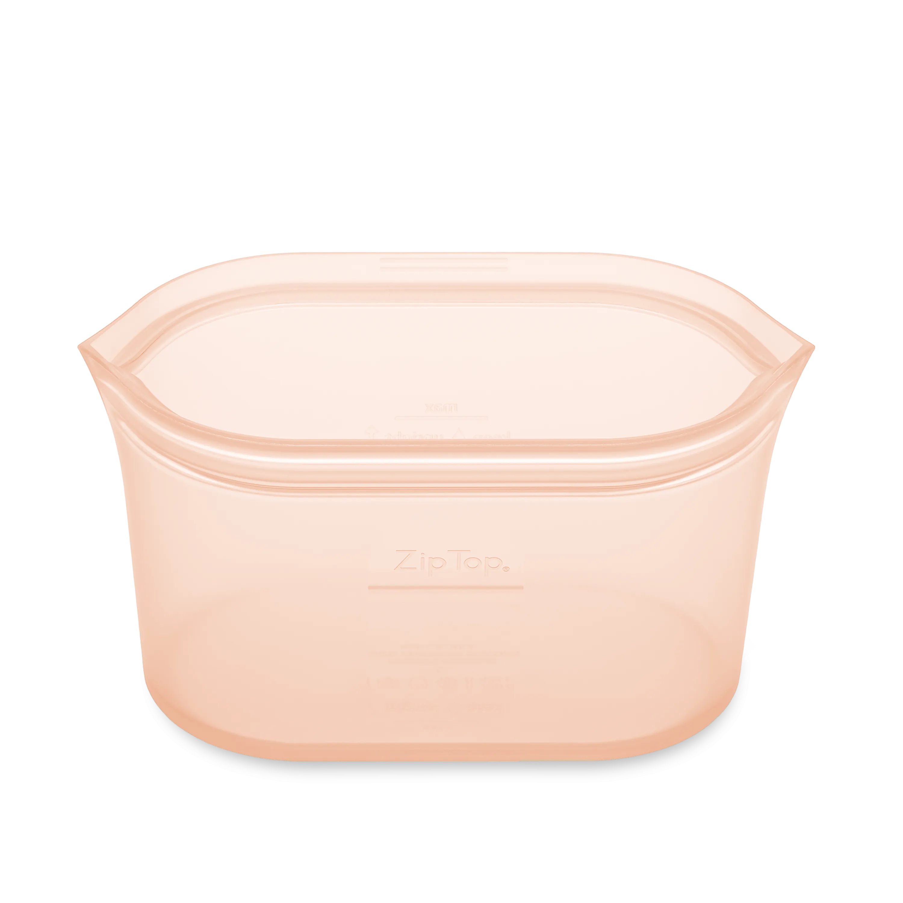 Zip Top Large Dish
