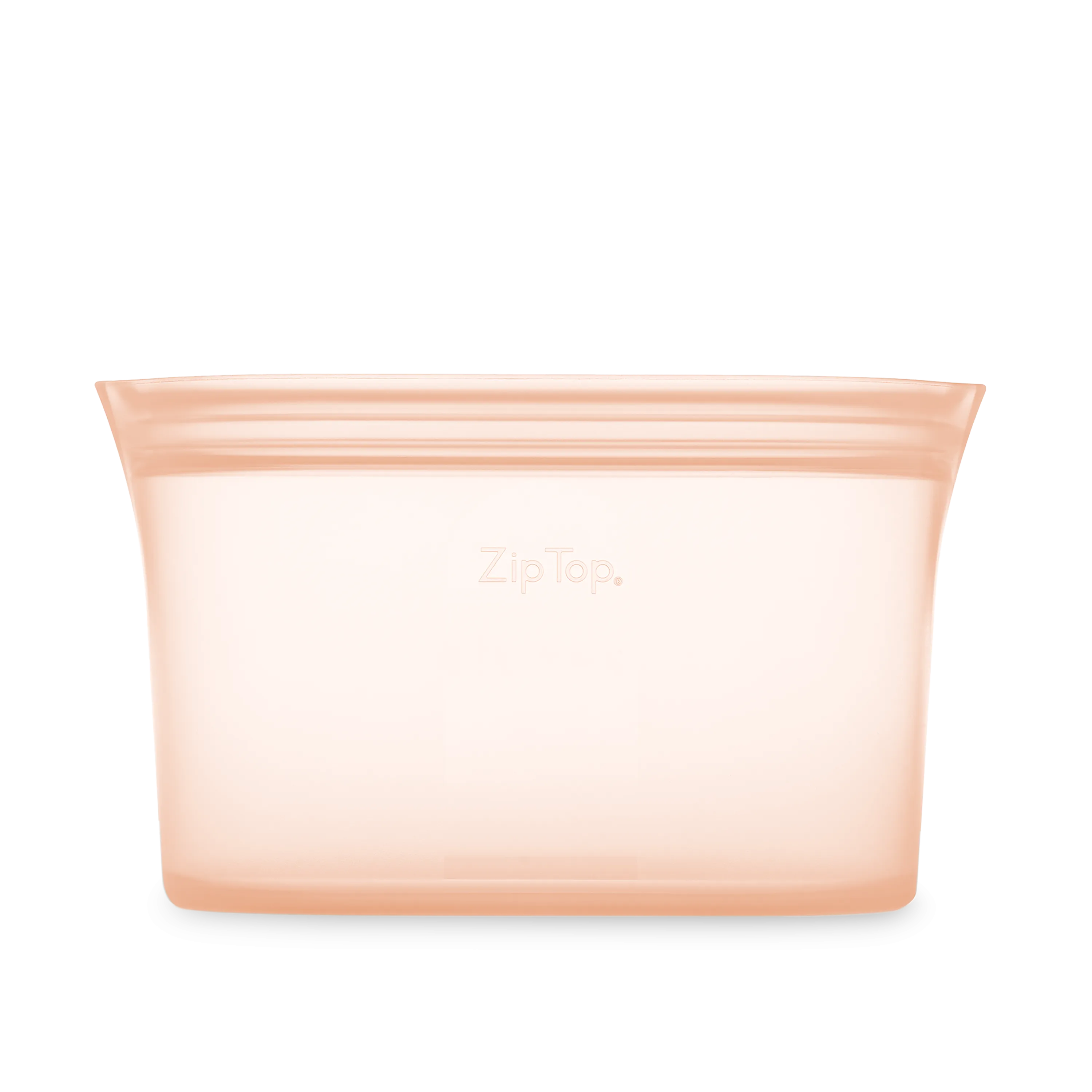 Zip Top Large Dish