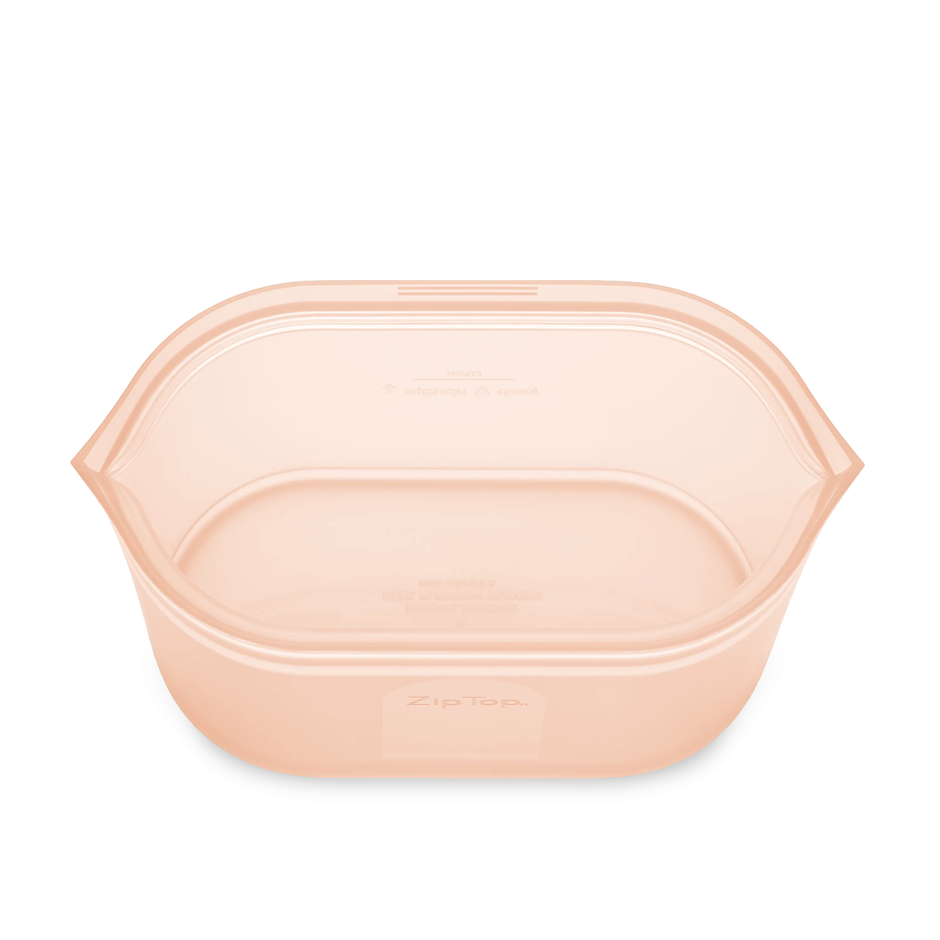 Zip Top Large Dish